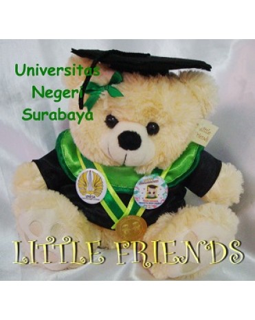 Boneka Wisuda Universitas Negeri Surabaya - Pendidikan Teknik (30 cm) 